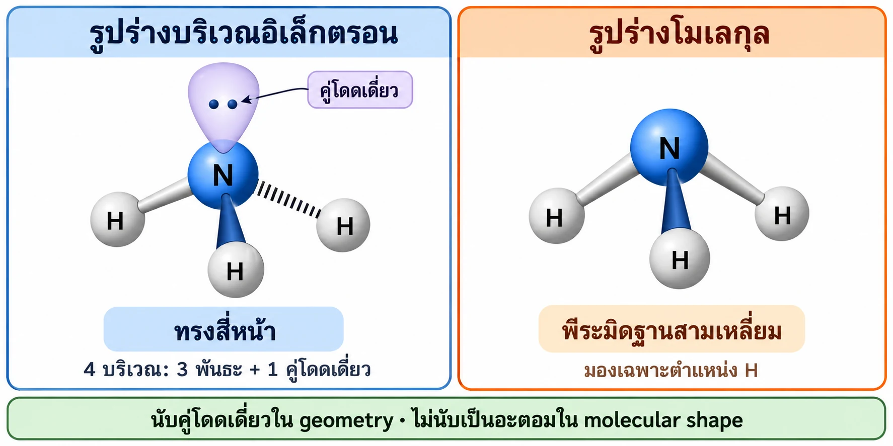 แผงซ้ายแสดง N กับพันธะ N–H สามทิศและคู่โดดเดี่ยวหนึ่งคู่เป็นสี่บริเวณแบบทรงสี่หน้า; แผงขวาแสดงตำแหน่ง N และ H เป็นพีระมิดฐานสามเหลี่ยม