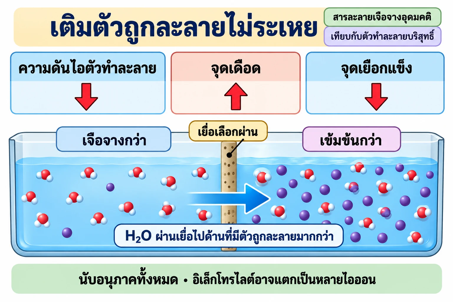 ความดันไอตัวทำละลายและจุดเยือกแข็งลดลง ส่วนจุดเดือดเพิ่มขึ้น; แผนภาพล่างแสดง H₂O ผ่านเยื่อไปด้านที่มีตัวถูกละลายมากกว่า