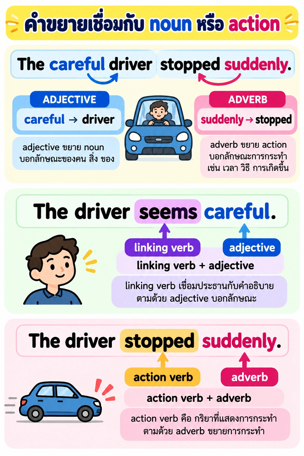 แถวบนมี The careful driver stopped suddenly. พร้อมลูกศร careful → driver และ suddenly → stopped; แถวกลาง The driver seems careful. แสดง linking verb + adjective; แถวล่าง The driver stopped suddenly. แสดง action verb + adverb.